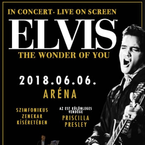 Elvis - The Wonder of You