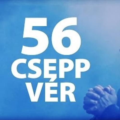 56 csepp vér musical