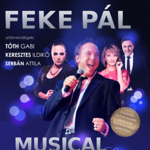 Feke Pál koncert - Musical Live