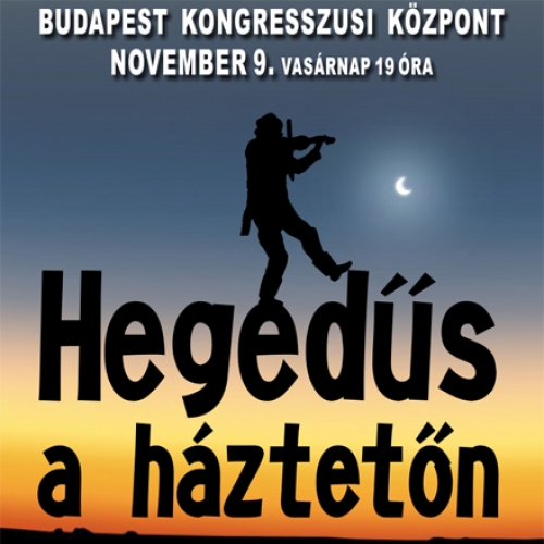 Hegedűs a háztetőn