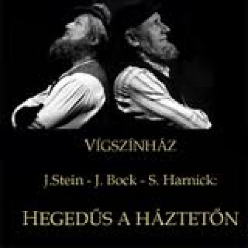 Hegedűs a háztetőn